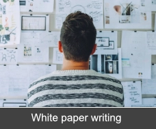 White paper writer